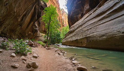 Narrows Trail